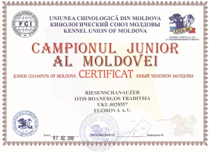Юный чемпион Молдовы